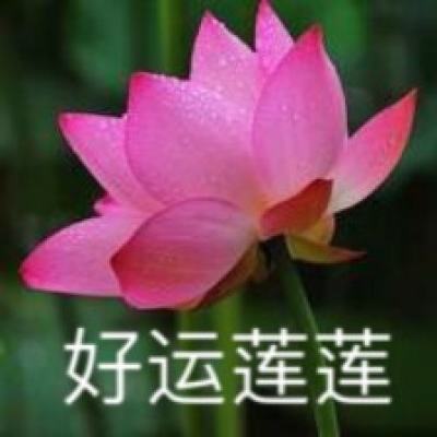 新华社权威快报丨辽河防汛抗旱总指挥部揭牌